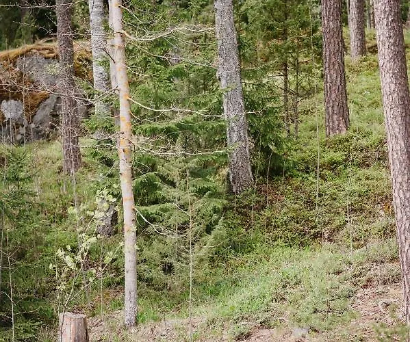 Daire Kaksio Jaerven Rannalla, Tampereen Vieressae! *